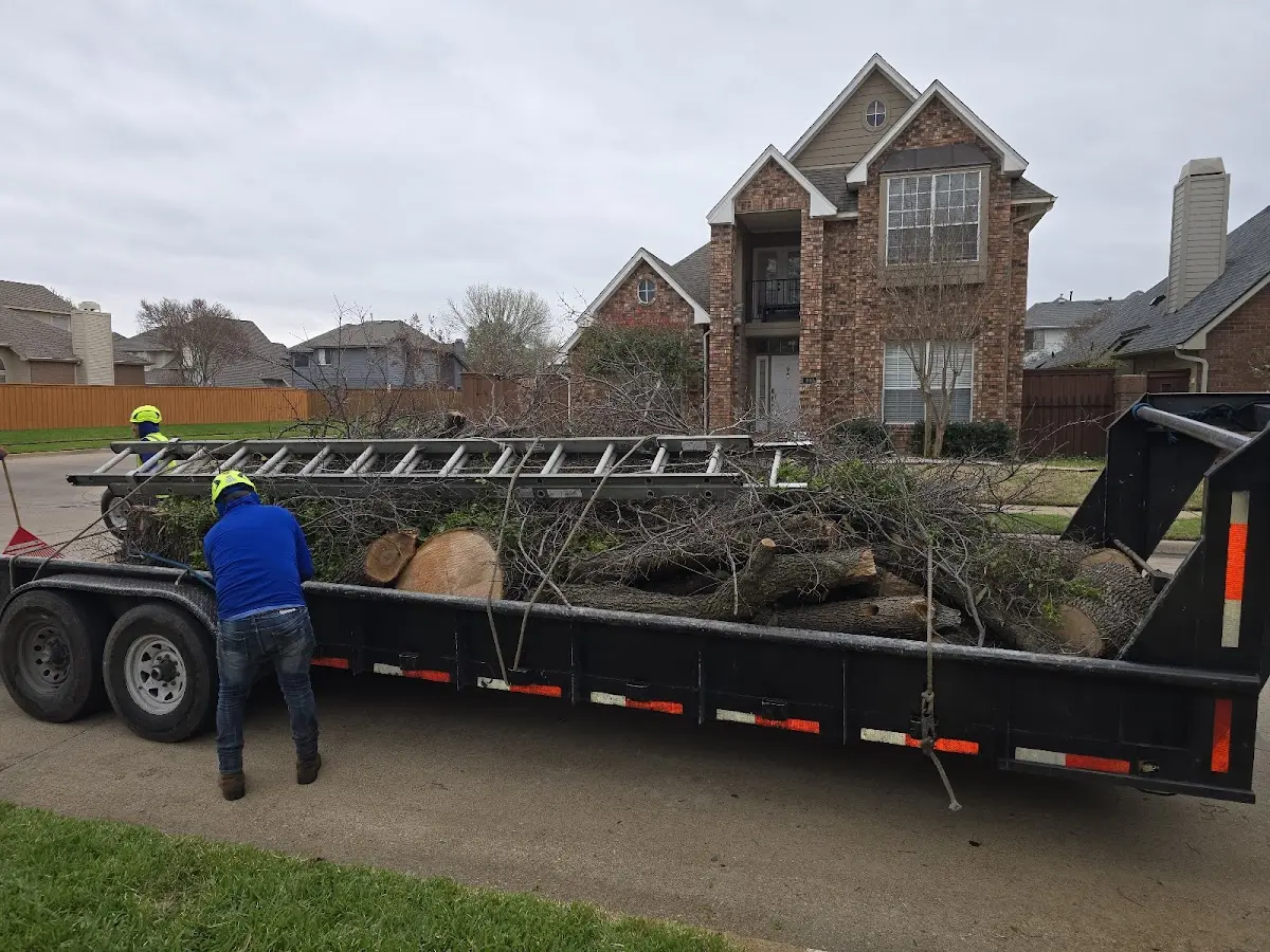 Expert Tree Fertilization with proper safety equipment in Fairview Village